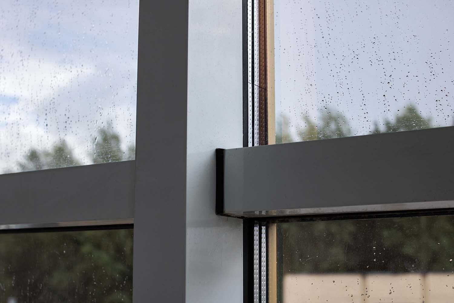 windows