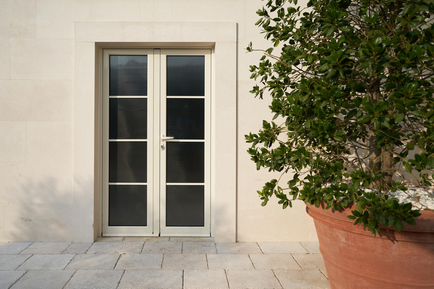 french doors