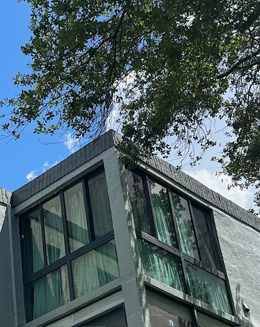 Modern house corner windows